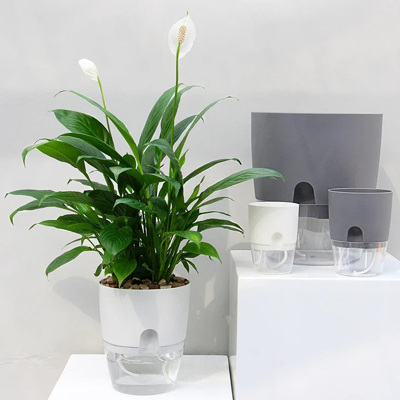 Fern Solar Planter - front view