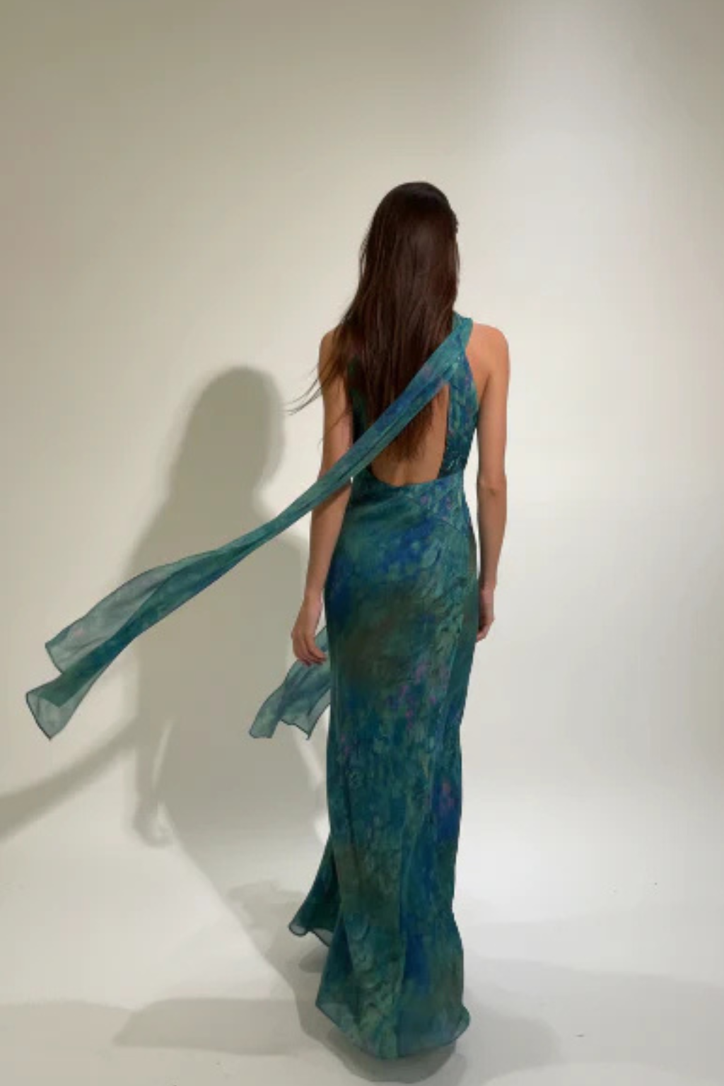Juliette Women's Printed Maxi Dress - back view