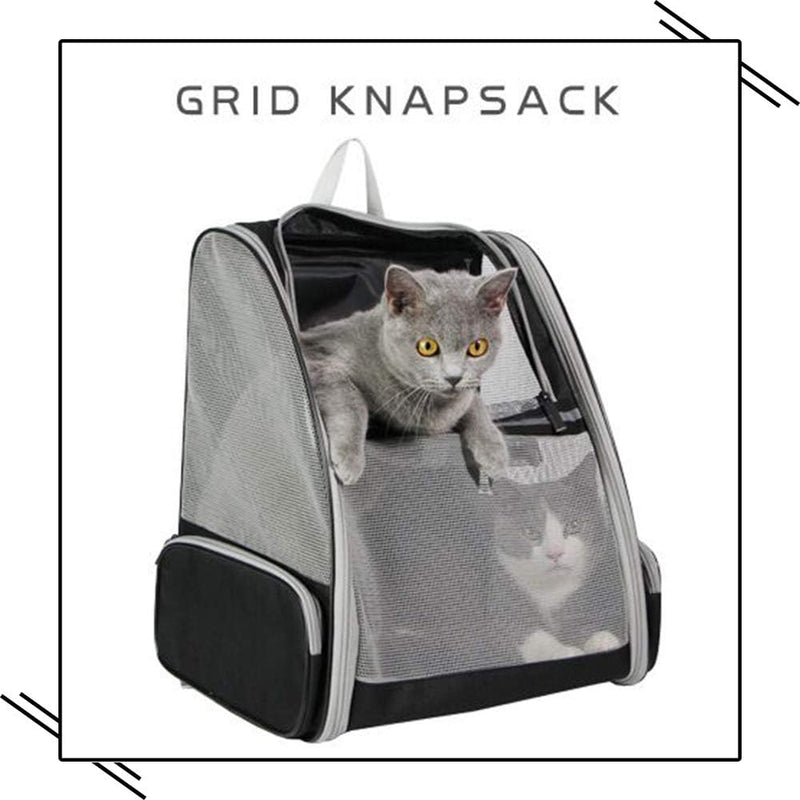 Esme Women's Backpack - back view