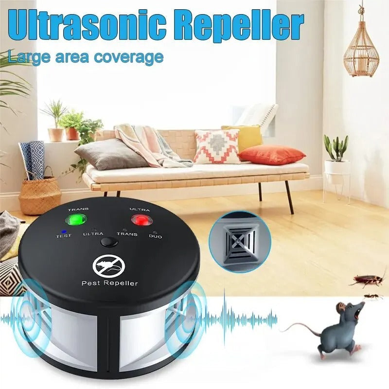 Ash Portable Electronic Control | Late-Summer Heat