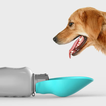 Slate Portable Water Bottle - front view