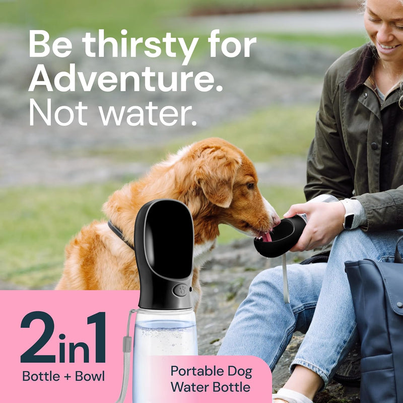Bay Portable Water Bottle - flat lay