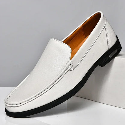 Arlo Men's Loafers - full-length view