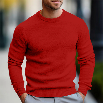 Theo Men's Sweater - full-length view