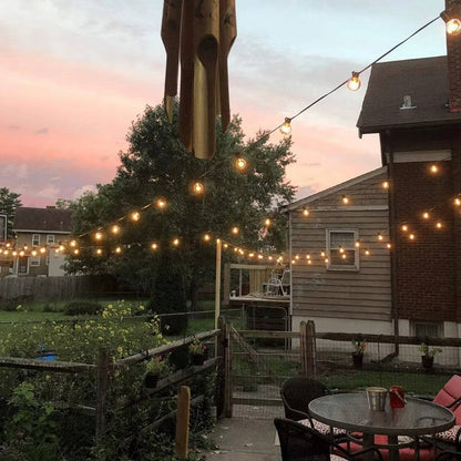 Birch LED String Lights - back view