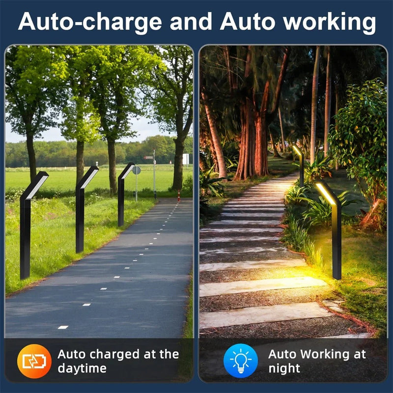 Willow Solar Pathway Lights - full-length view