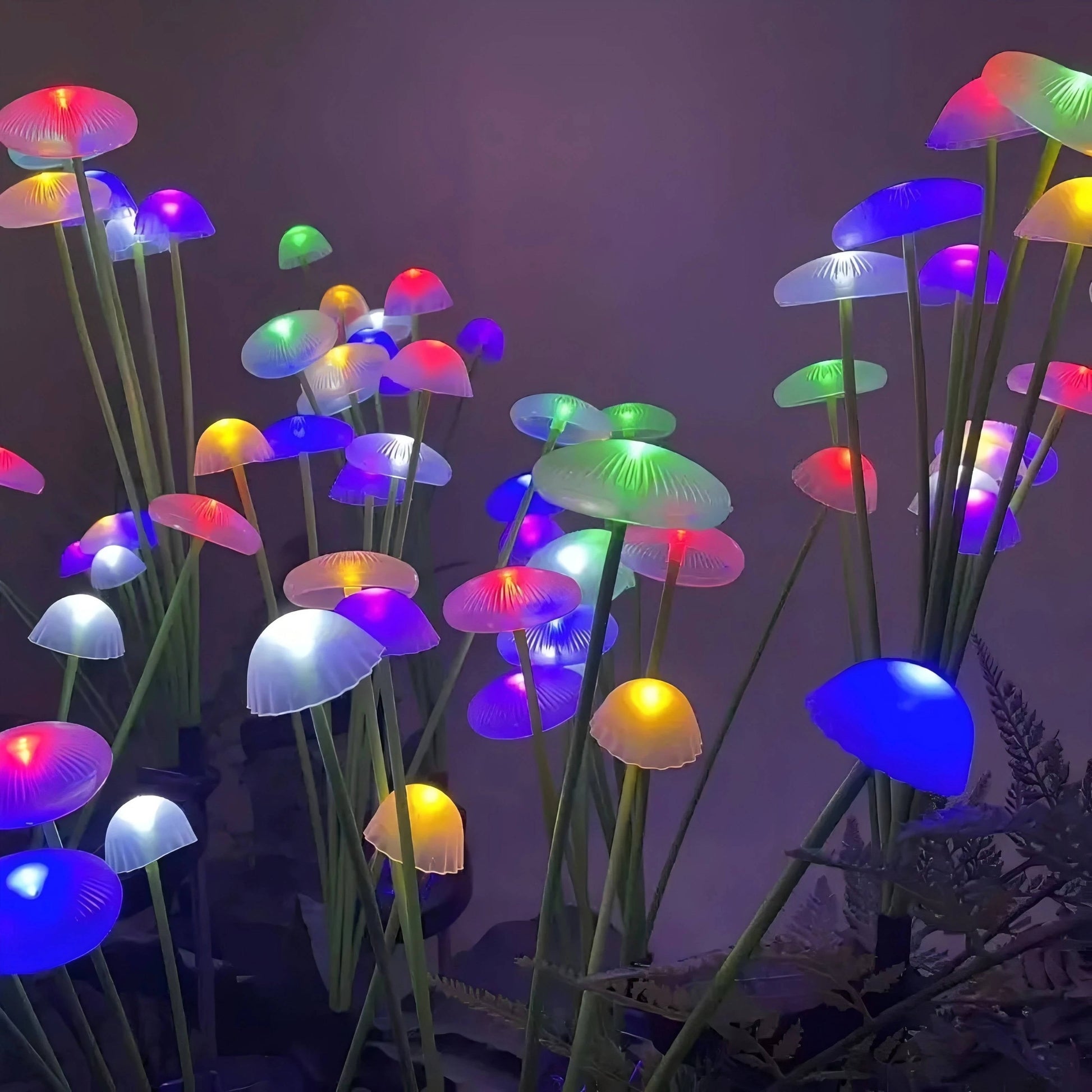Juniper Solar Lights Outdoor - shown in use