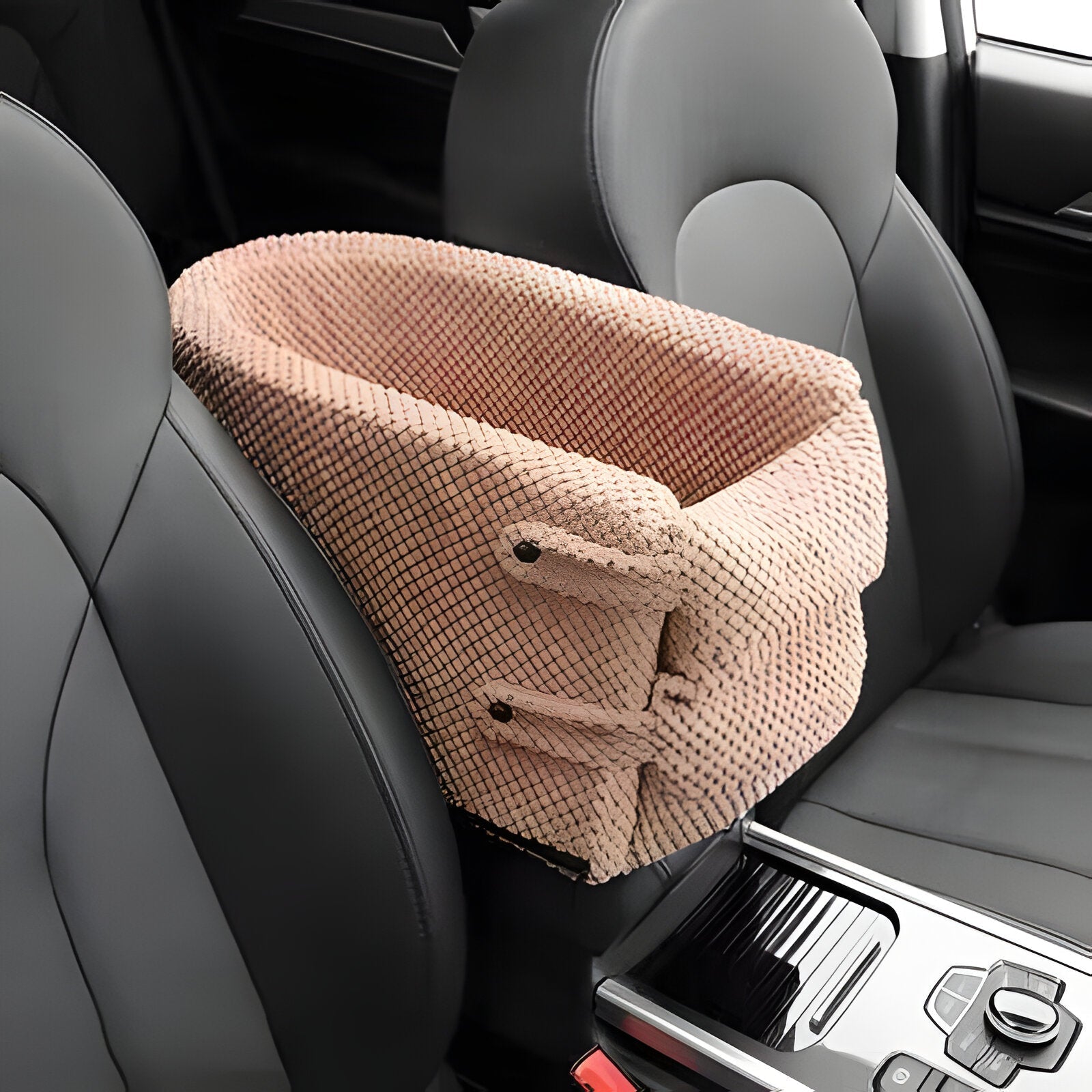 Dune Car Seat - back view