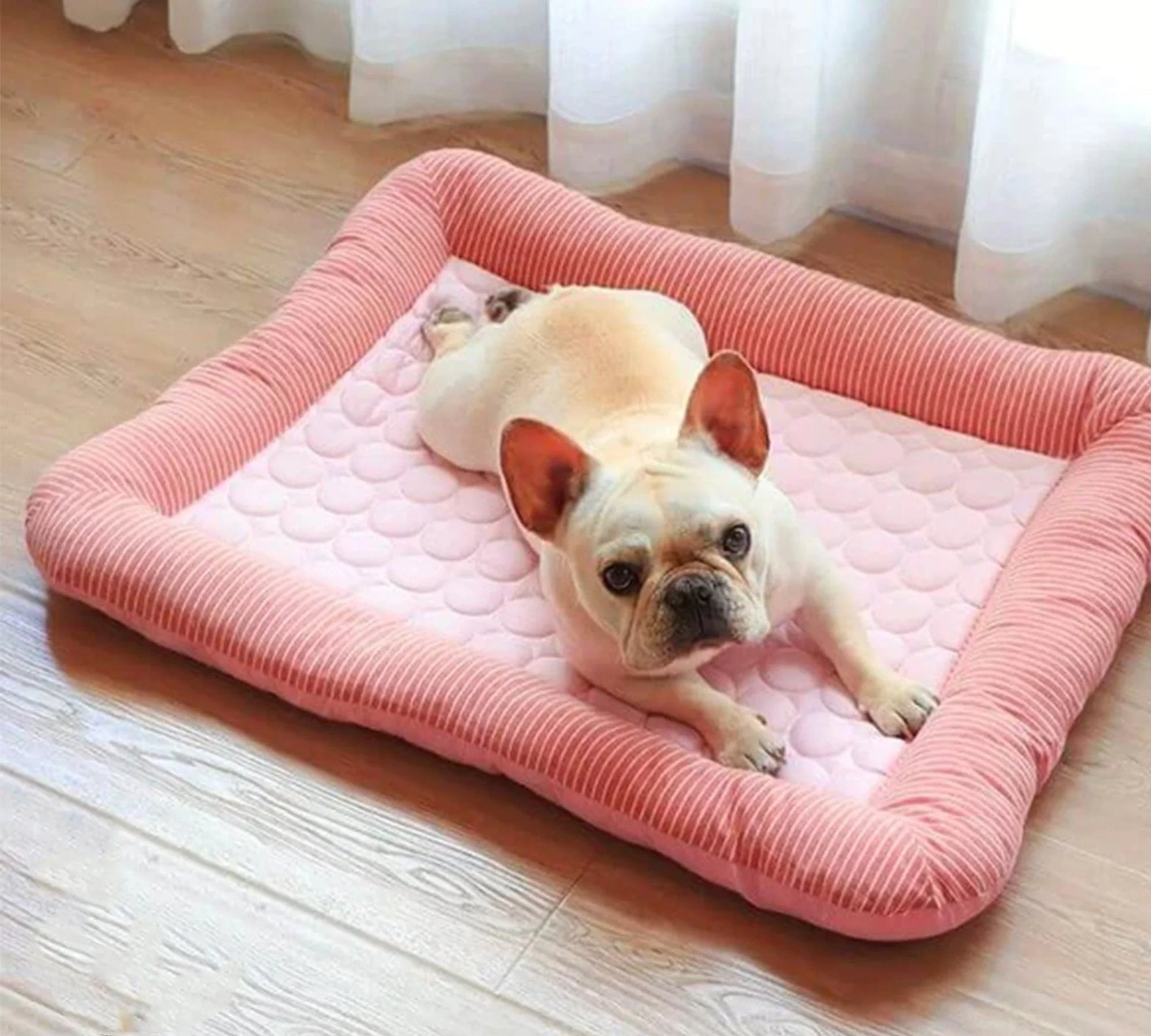 Birch Portable Pet Bed - back view