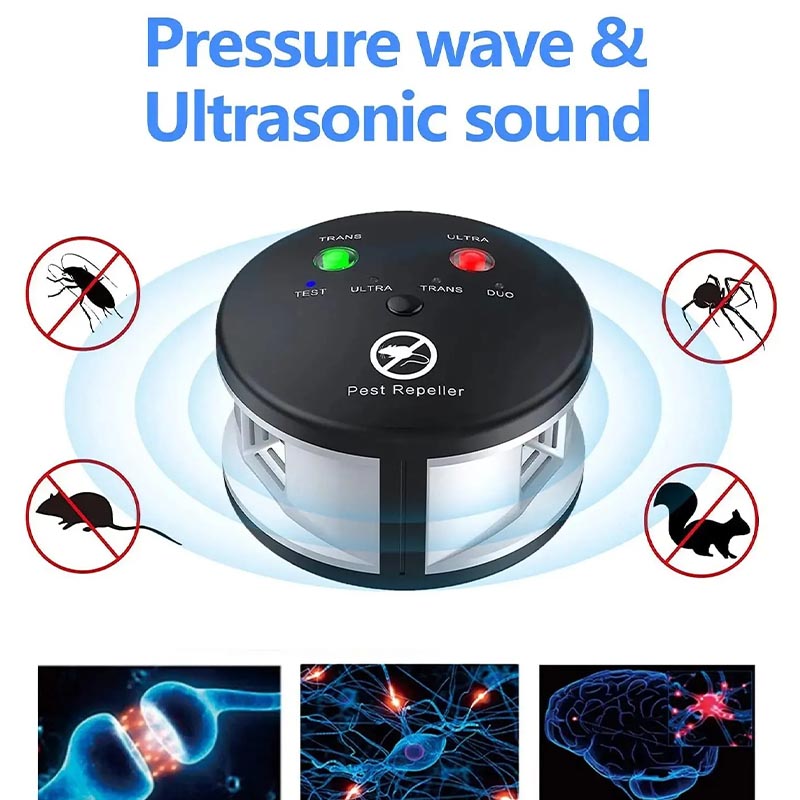 Ash Portable Electronic Control - full-length view